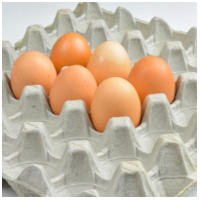 jajka, papierowe wytoczki, jajka w wytoczkach, wytoczki z pulpy papierowej