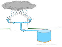 deszczwka, zbieranie wody deszczowej, darmowa woda do podlewania