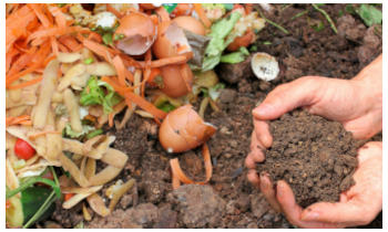 kompost, ziemia kompostowa, resztki warzyw, obierki po warzywach, skorpki po jajkach, donie, rce